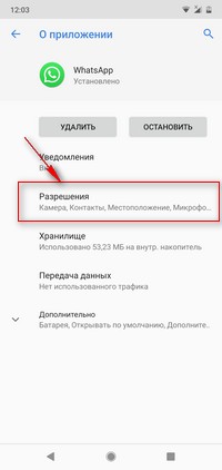 WhatsApp не определяет номера