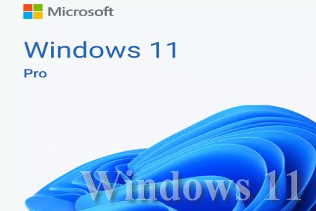 отличия Windows 11 Pro от Windows 11 Home