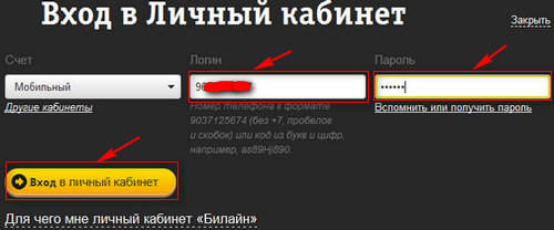 Вход в личный кабинет на Билайне. Как зайти в личный кабинет на Билайне? Как зайти в личный кабинет если забыл пароль?